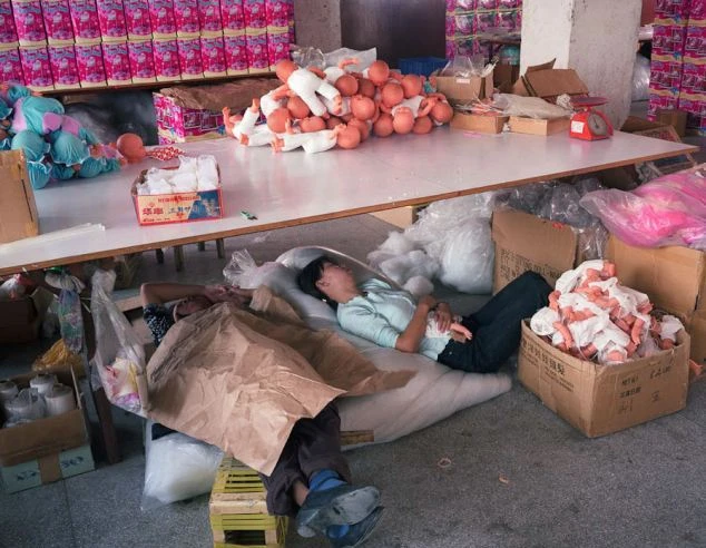 China Factory Inspection Toys Sleeping Workers